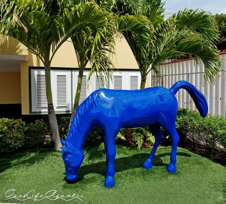 Blue horses are all over downtown Oranjestad