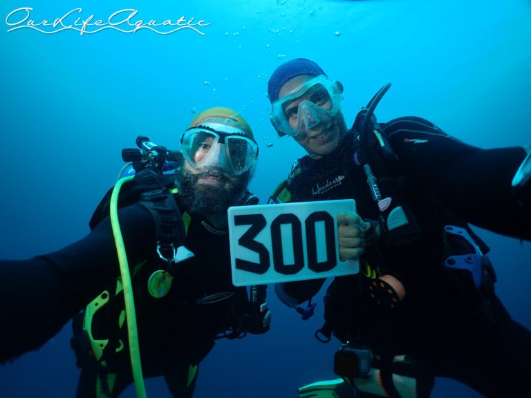 We dove so much we reached our 300th dives!