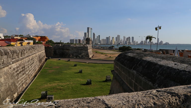 View of downtown Cartagena from atop the walled city