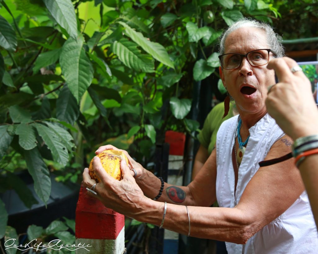 Kimberly's mom, Cindy, cracks open a cacao pod at Choco-Tour