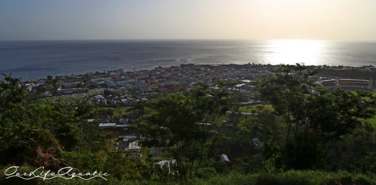 Roseau, the capital of Dominica