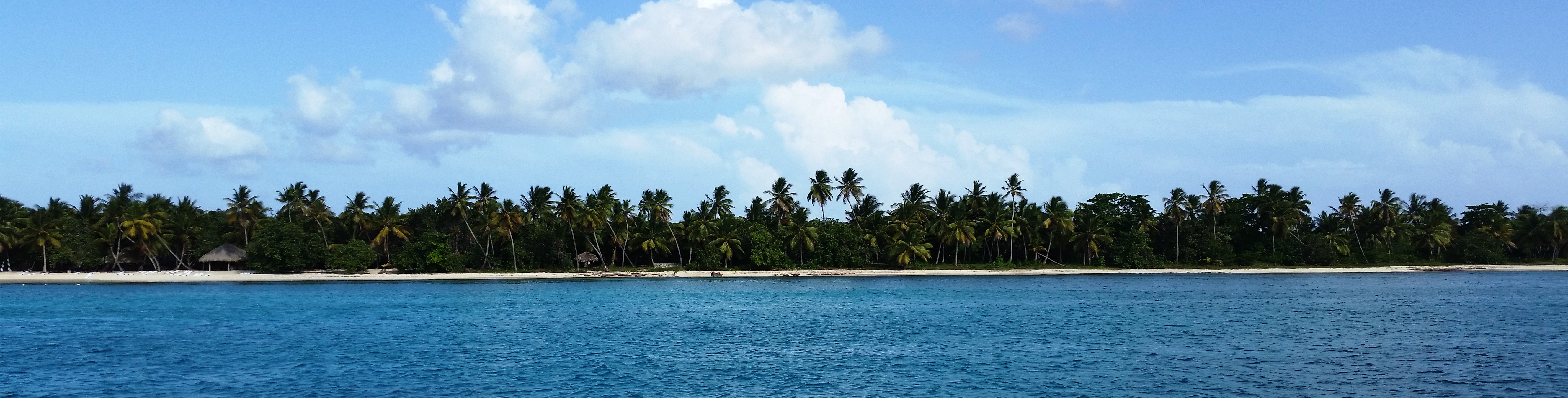 The palm tree lined beach at Isla Saona