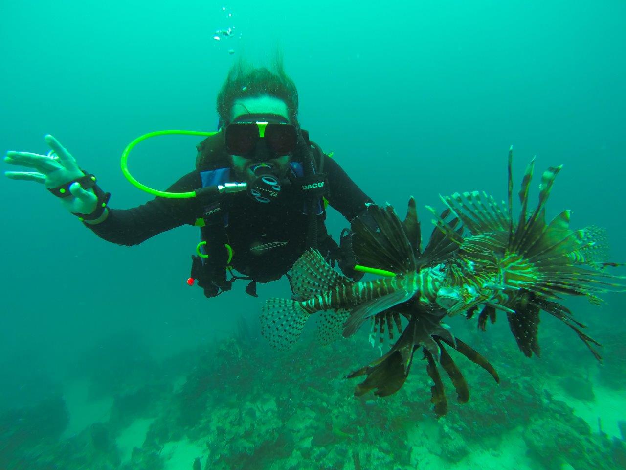 Lots of Lionfish in these old wrecks