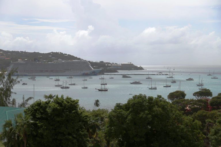 The harbor is always crowded 